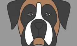 Doggy Face Coloring image