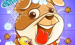 Animal Daycare Pet Vet image