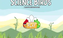 Science Birds image