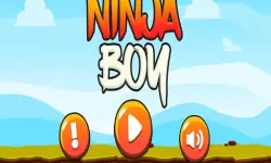 Ninja Boy ! image
