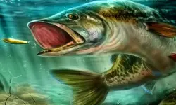 Ultimate Fishing Simulator image