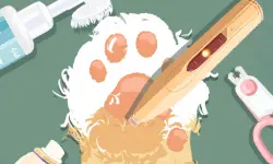 Storage Master image