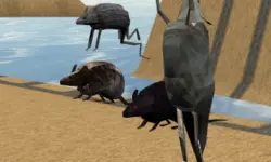 Mouse Race Islands image