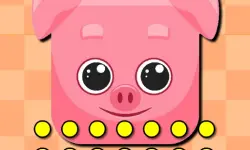 Funny Animal Faces image