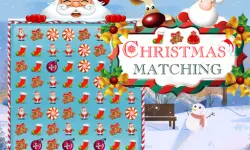 Christmas Matching image