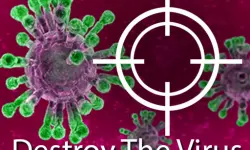 Destroy The Corona Virus image