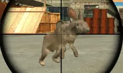 Rabbit Shooter image