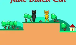 Jake Black Cat image