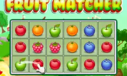 Fruit Matcher image
