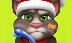 image bg Talking Tom Injfdfury