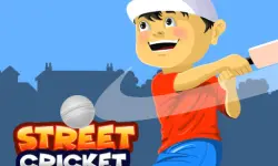 Street Cricket image