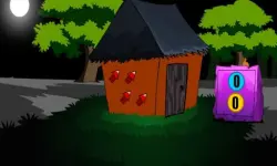 Find the Gate Key image