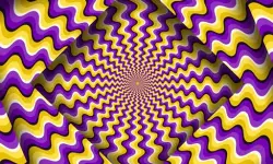 Optical Illusion image