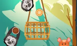 Slings to the Basket image