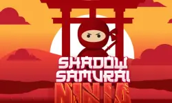 Shadow Samurai Ninja image