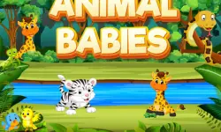 Animal Babies image