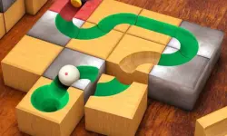 Sliding block, brain, rolling puzzle image