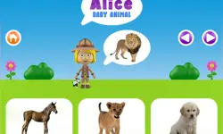 World of Alice - Baby animal image