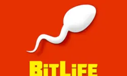 BitLife - Life Simulator image