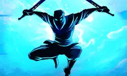 Shadow Ninja Warriors image