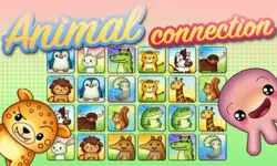 Animal Connection image