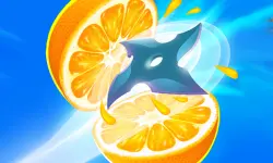 Fruit Slice Juice image