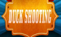 DuckShooting image