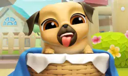 My Cute Puppy Grooming 3D image
