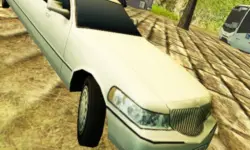 Limousine Hill Drive image