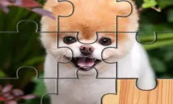 Cute Dogs Jigsaw Puzlle image