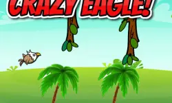 CRAZY EAGLE image