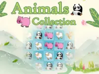 Animals Collection background