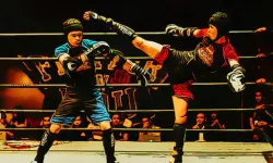 Fighters in the Ring image