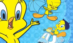 Tweety Bird image