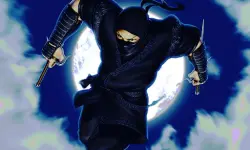 Ninja Defender image