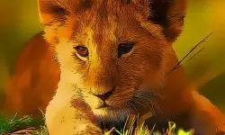 Wild Baby Animals Jigsaw image