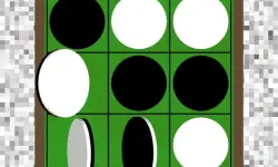 Black and White Puzzle image