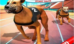 Crazy Dog Race image