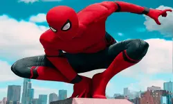 sipderman skate image