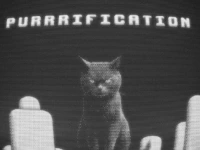 Purrrification