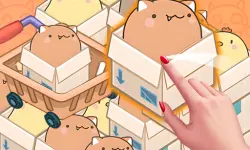 Mart Puzzle Box Cat image