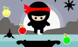 Ninja Jumper image
