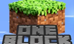 ONE BLOCK for Minecraft image