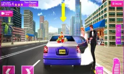 Wedding City Car Driving Service image