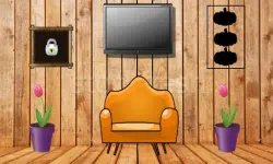 Backyard Entrance Escape image