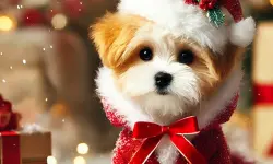 Cute Animals Jigsaw Adorable Puppies and Kittens image