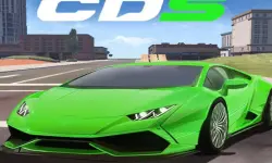 Racing Car Dual Control image