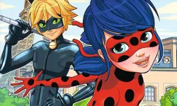 Ladybug Differences image