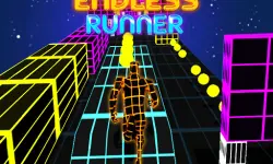 Endless Run image