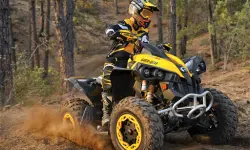 ATV Offroad Puzzle image